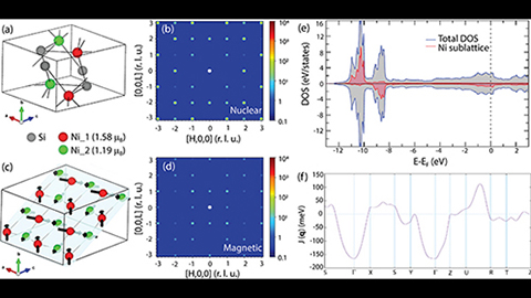 Lattice structure of NiSi and spin correlation between Ni atoms.