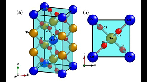 The crystal structure of CoTa2⁢O6.