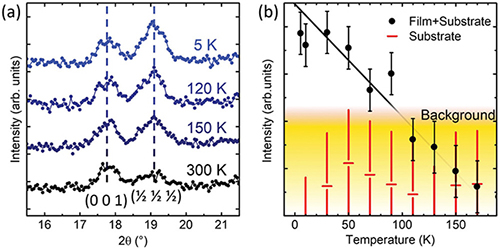 Observation of G-type antiferromagnetic ordering in L5BO bulk and film.