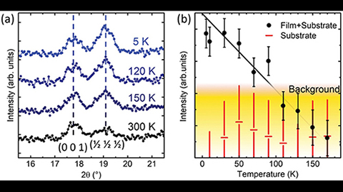 Observation of G-type antiferromagnetic ordering in L5BO bulk and film.